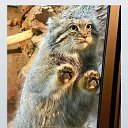 ���� �����, ������������ - ��������� 3 ����� 2020 � ������ ���� ����������