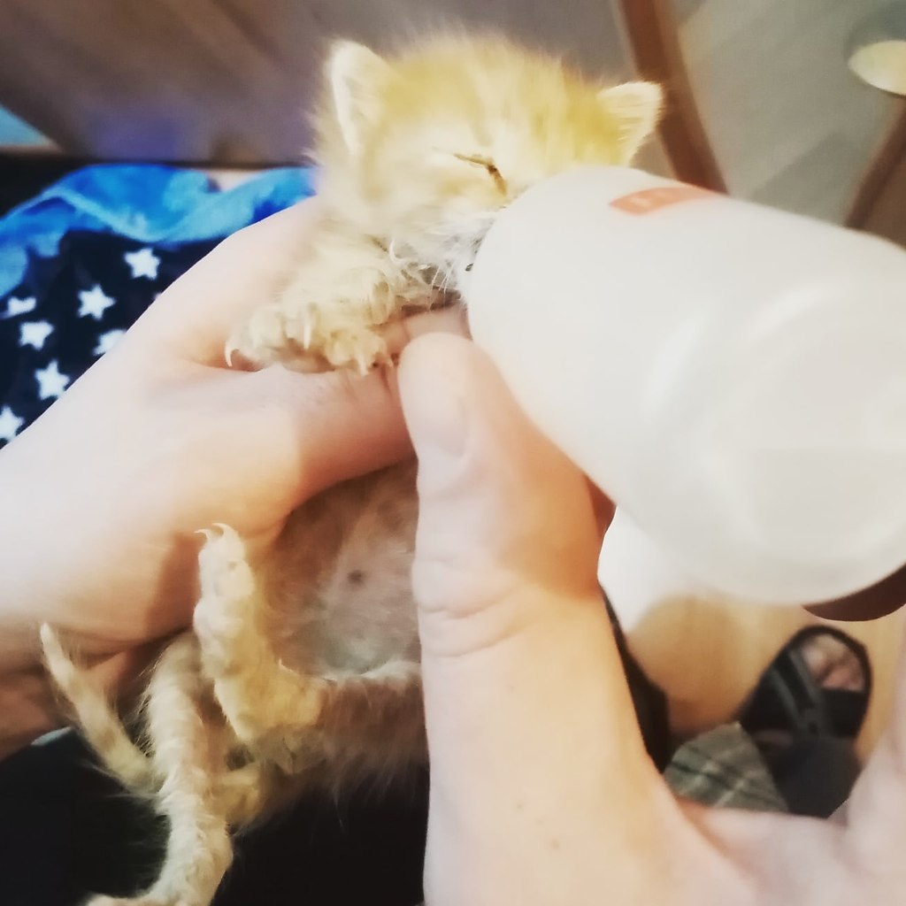  !          5  , 2   ...