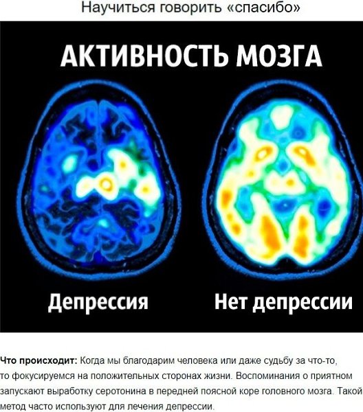 8 советов нейробиолога о том, как стать счастливым раз и навсегда. - 2