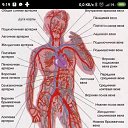 ���� Polikarpoff, ������ - ��������� 30 ������ 2020 � ������ ����