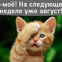 ���� �����, �����������, 38 ��� - ��������� 28 ���� 2020 � ������ ���� ����������