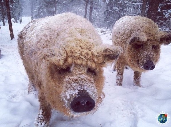 a - eea  oa c c ape yp. - 2