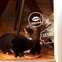 ���� ������, �����-���������, 54 ���� - ��������� 16 ��� 2020 � ������ ������ ��������