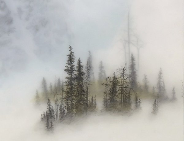 u au uy,  coa  n apa, ap  . Xyu: ... - 7