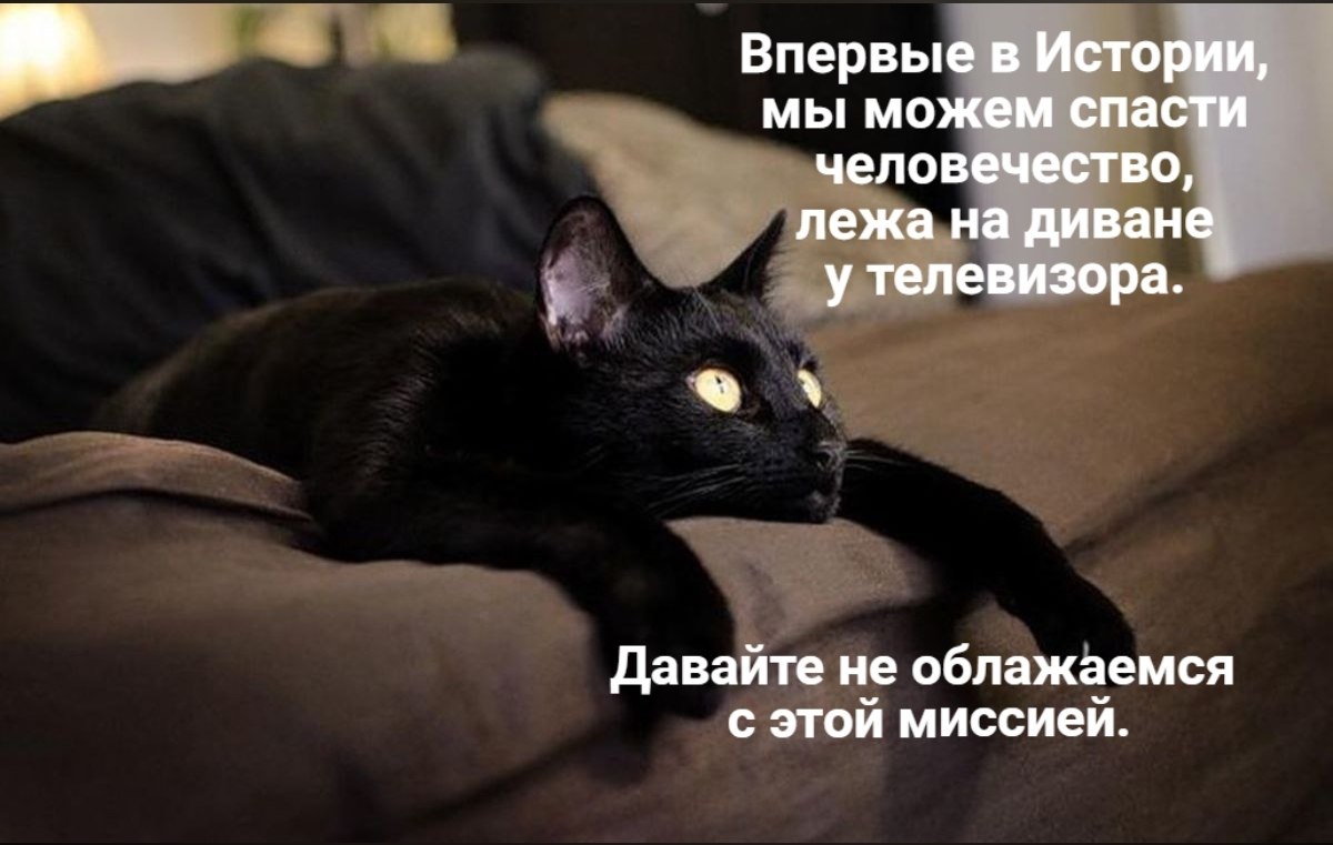 От нас зависит многое