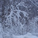 ���� �����, ������, 62 ���� - ��������� 13 ������ 2020 � ������ ������ ��������