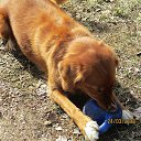 ���� ��������, Kouvola, 78 ��� - ��������� 24 ����� 2020 � ������ ������ � ������ ������...�