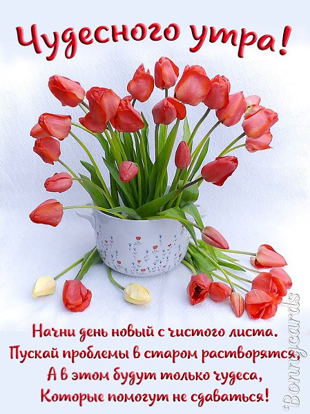   ,    . - 26  2020  23:48