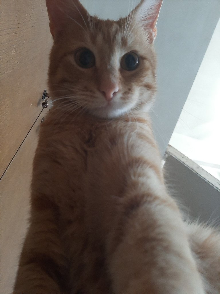  , )