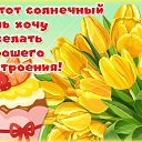 ���� �������, ������ - ��������� 22 ��� 2020 � ������ ���� ����������