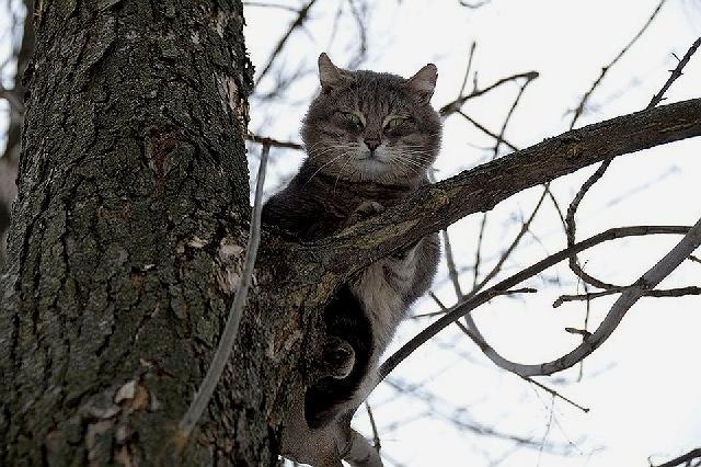 ,    ...))) - 5