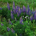 ���� ��������, Kouvola, 78 ��� - ��������� 10 ���� 2020 � ������ ������