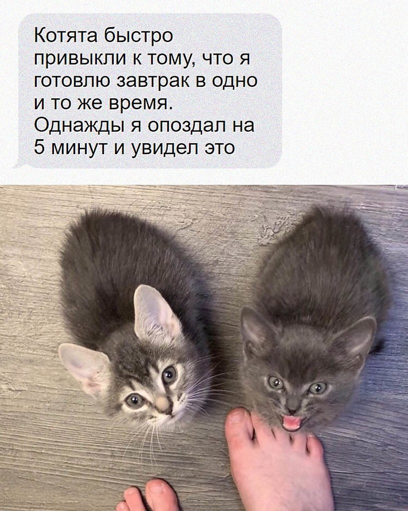    - 3  2020  18:31