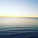 ���� ��������, ���������, 46 ��� - ��������� 18 ������ 2020 � ������ ���� ����������