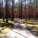 ���� �������, ������, 62 ���� - ��������� 13 ���� 2020 � ������ ���� ����������