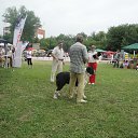 ���� �������, �������, 66 ��� - ��������� 20 ������ 2020 � ������ ���� ����������