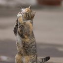 ���� ��������, ������, 69 ��� - ��������� 11 ������� 2020 � ������ ������ ��������