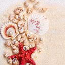 ���� ���������� ��������, �������, 50 ��� - ��������� 18 ������ 2020 � ������ ���� ����������