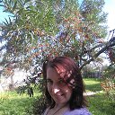 ���� ��������, �����, 49 ��� - ��������� 5 ������� 2020 � ������ ���� ����������