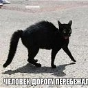 ���� ���������, ������������ - ��������� 17 ���� 2020 � ������ ������ ��������