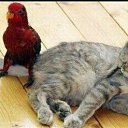 ���� ������� �������;
�������� ������ �������
�� ������ ��� ������ �������!! �� ������� ���� ����������