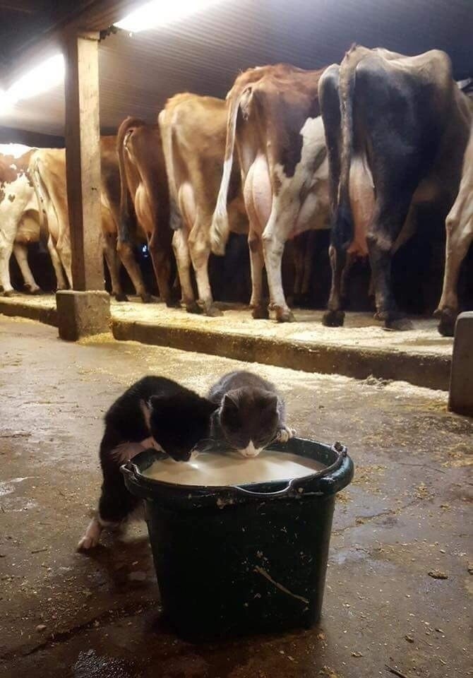    ,     ,    ,     !