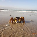 ���� ������, ������� - ��������� 6 ������ 2020 � ������ ���� ����������