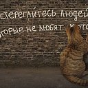 ���� Vinni Kolss, ������ ��������, 58 ��� - ��������� 7 ������ 2020 � ������ ���� ����������