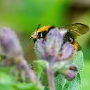  ,  -  2  2020     2020