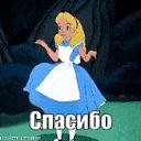 ���� ������, ������, 54 ���� - ��������� 5 ������� 2020 � ������ ���� ����������
