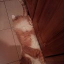 ���� �����, �����, 57 ��� - ��������� 23 ����� 2020 � ������ ���� ����������