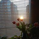 ���� �������, ��� - ��������� 7 ����� 2020 � ������ ���� ����������