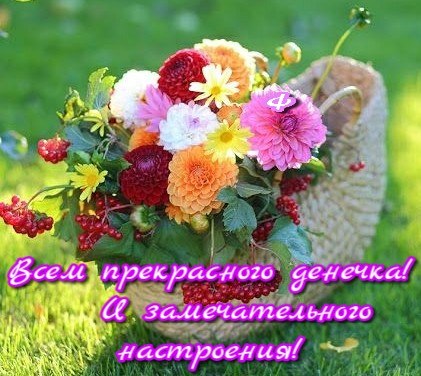   ,    . - 10  2020  21:17 - 2