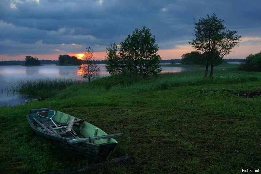 ���� �������� - 17 ���� 2020 � 14:56