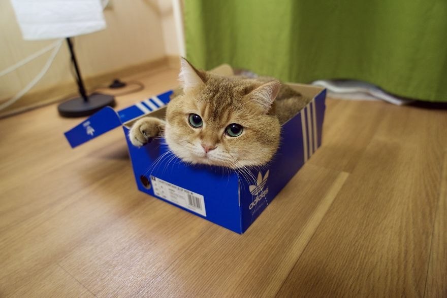 ,   : 1)   . 2) .