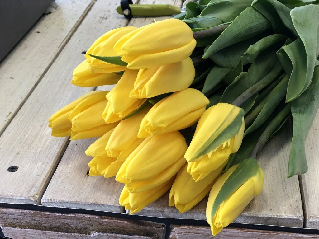   ,    . - 27  2020  16:15