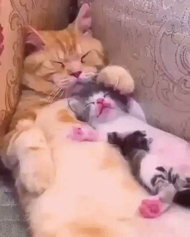  ,  !)