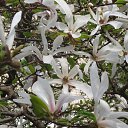 � � ��� �� �����... 24.04.2020 �� ������� ���� ����������