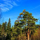 ���� ���, ��������� - ��������� 28 ����� 2020 � ������ ���� ����������