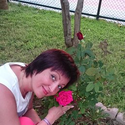 �������, �����������, 52 ����