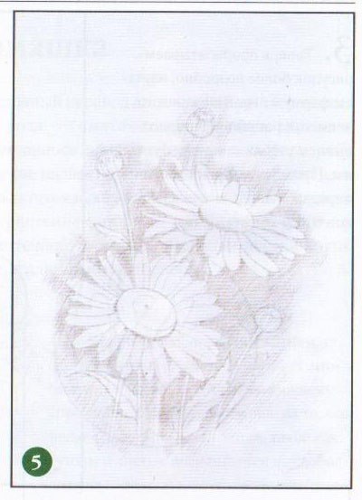 ��c�e� po�a���.� ���������� ���� - 6