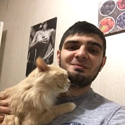 ���� Shamil, ��������� - ��������� 7 ������� 2020