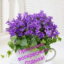 ���� ����, �����-��������� - ��������� 14 ���� 2020 � ������ ������ ��������