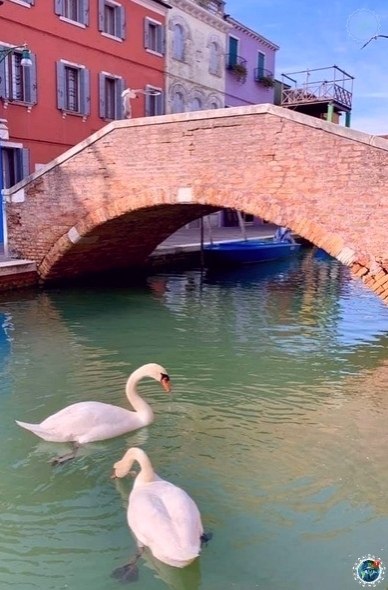 B c B c ,   a, o oa ca caa  co. e ...