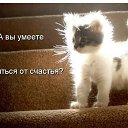 ���� �����, �����, 39 ��� - ��������� 5 ������ 2020 � ������ ������ ��������