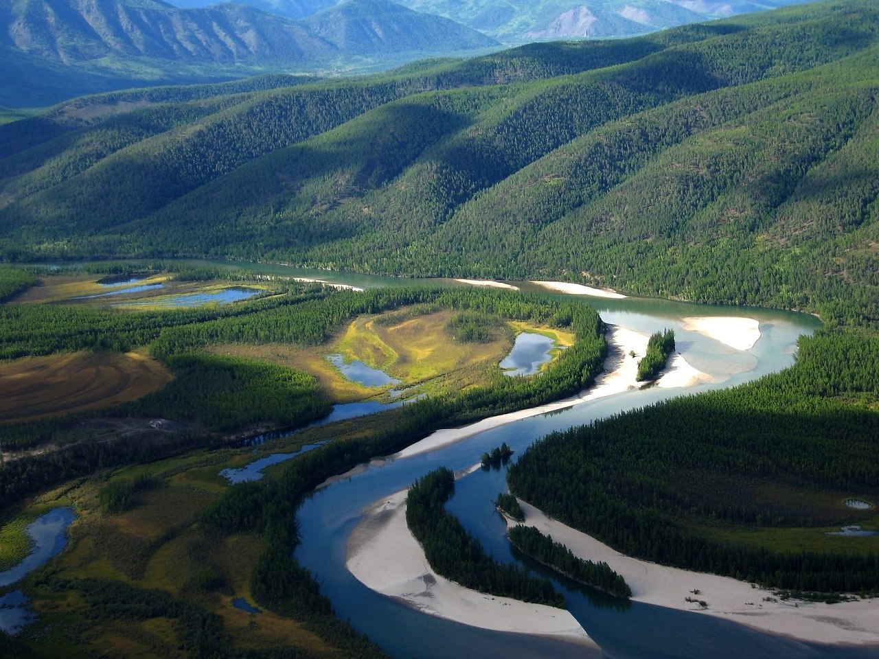 Какая самая средняя река. Сибирские просторы Кандинка. Дальний Восток река Амур. Таежные просторы Западной Сибири. Река Алазея.