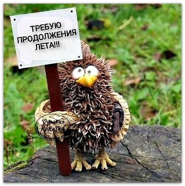 Пришел к врачу мужик с жалобой на ушиб от падения с лестницы. Врач прописал мазь и велел втирать в ...