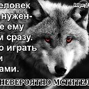 ���� ���������, �����������, 38 ��� - ��������� 7 ������ 2020 � ������ ������ ��������