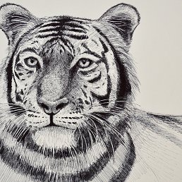 ��������, �������������, 39 ���