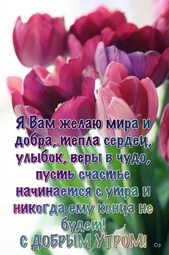   ,    . - 15  2020  01:13